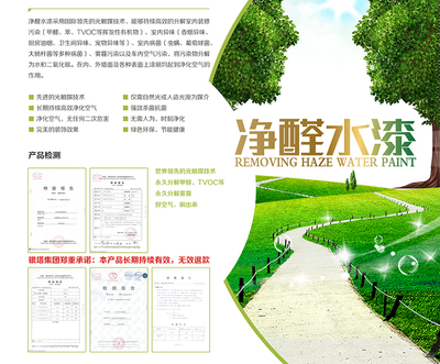 好空气系列净醛水漆